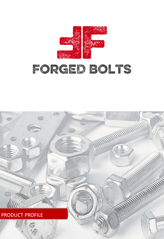 FORGED BOLTS FASTENERS